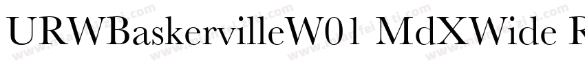 URWBaskervilleW01 MdXWide Regular字体转换